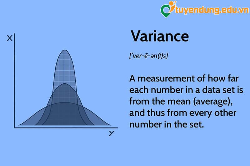 Variance là gì? Khám phá khái niệm quan trọng trong thống kê và tài chính